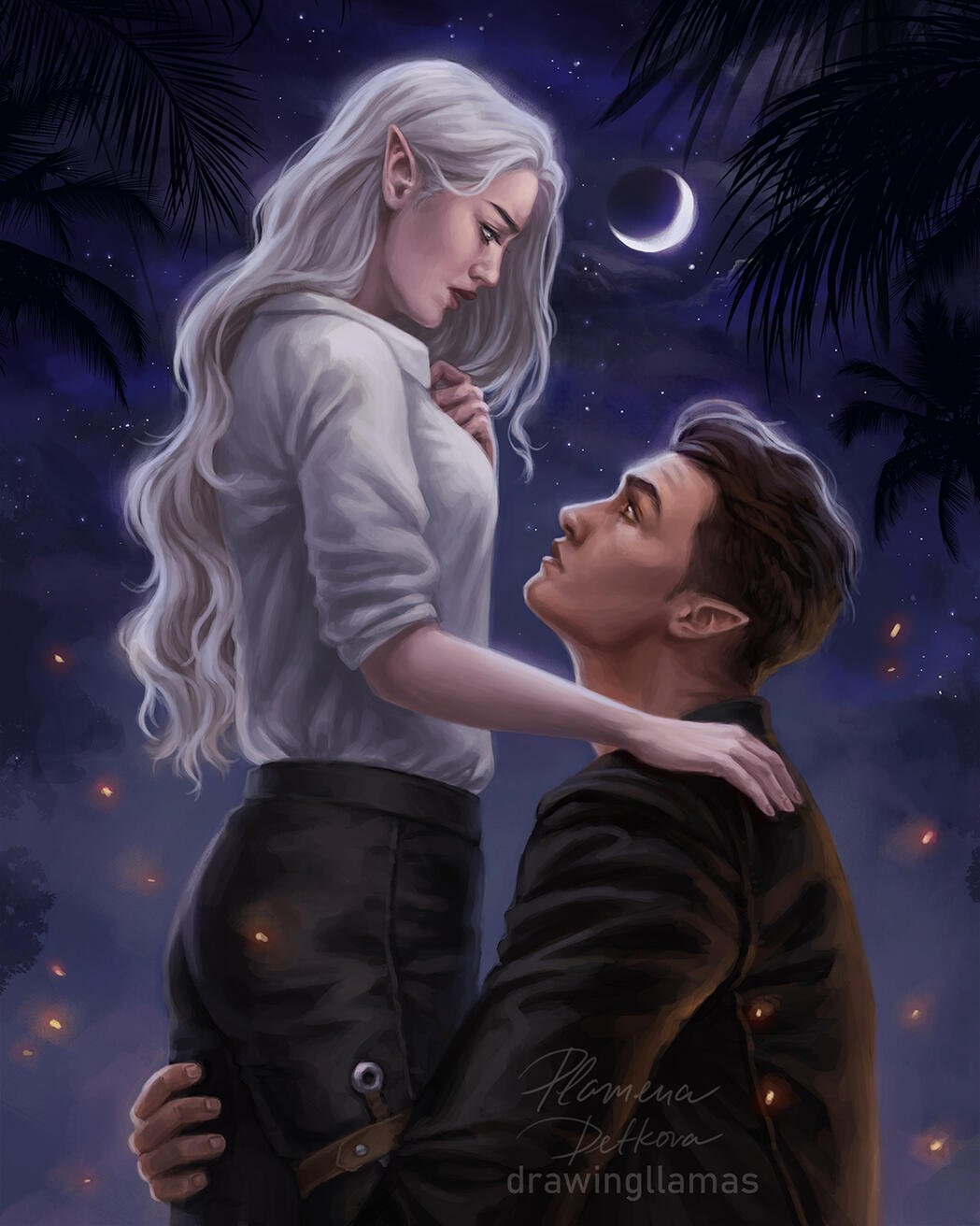 Commission for Julie Johnson