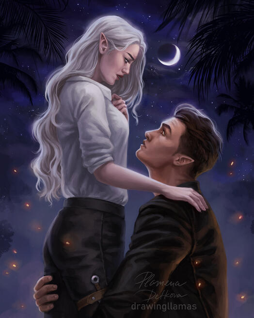 Commission for Julie Johnson
